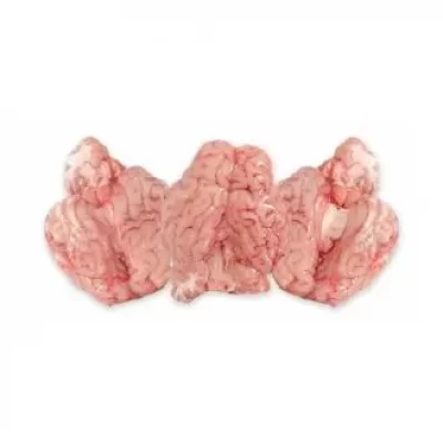 GOAT BRAIN (Per Kg)