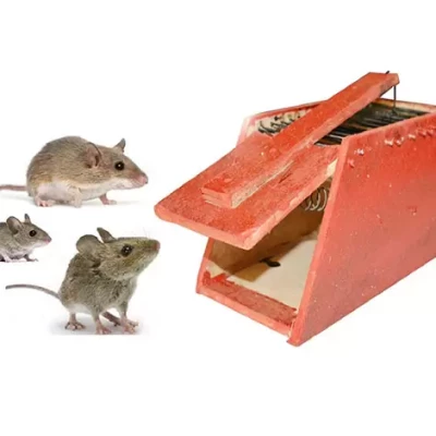WOOD RAT TRAPS